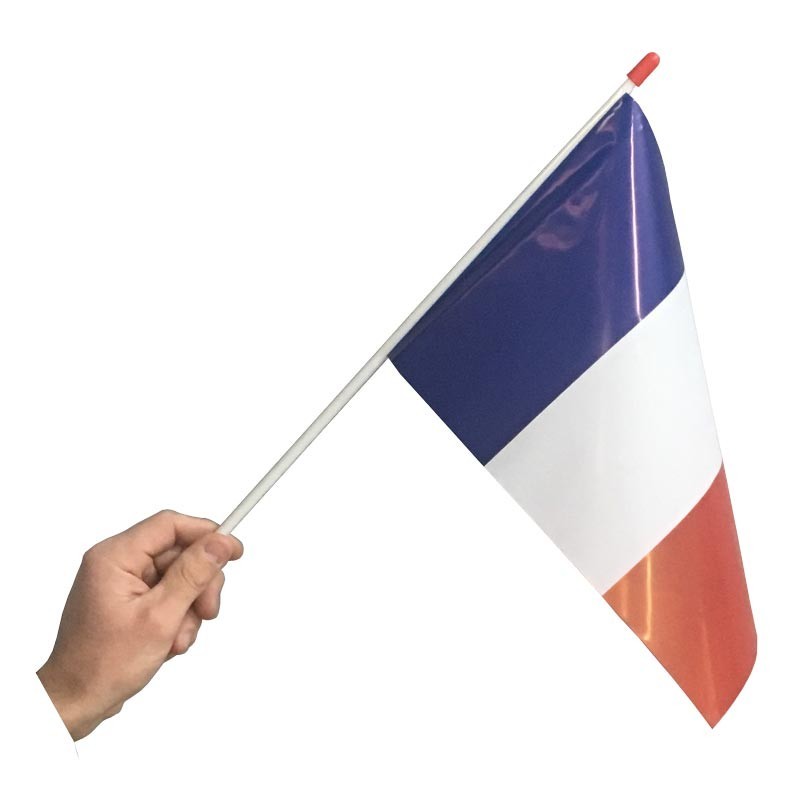 Drapeaux à agiter 20 x 30 cm