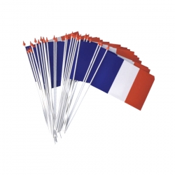 Drapeau France plastique 10x15cm