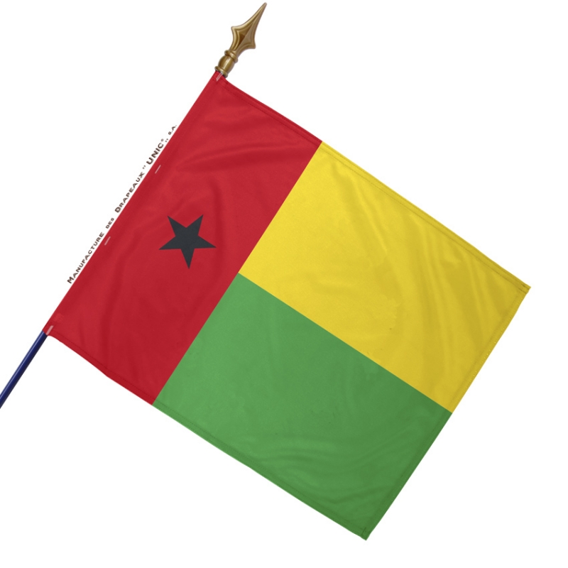 Drapeau De La Guinée Sur Une Hampe De Drapeau